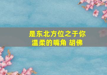 是东北方位之于你温柔的嘴角 胡佛